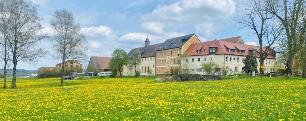 blühende Wiese und Schloss Tempelhof