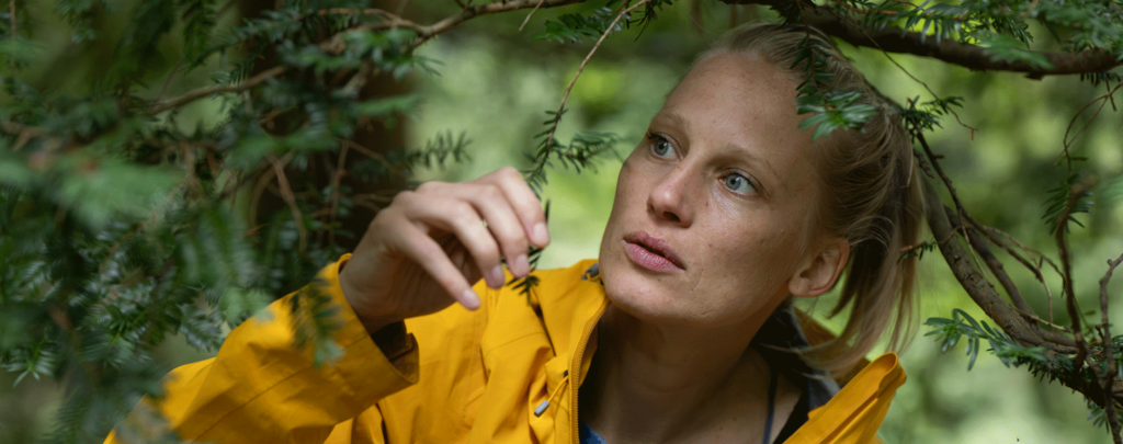 Katharina Frilling